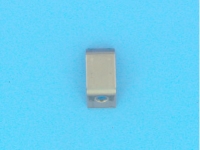 Clips PROJ Incand.300W Std (sachet de 4) COFIES - (HAYWARD)
